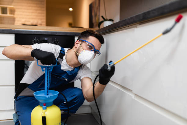 Best Best Pest Control Companies  in West Carthage, NY