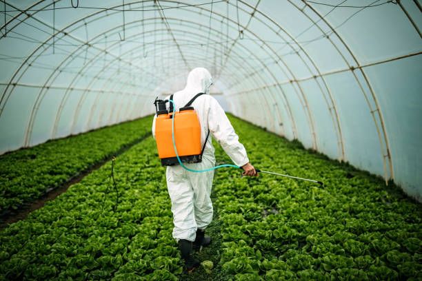 Best Pest Control Near Me  in West Carthage, NY