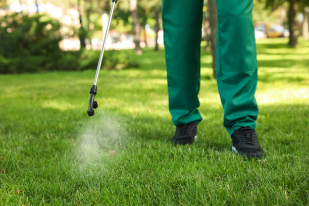 Best Pest Prevention Services  in West Carthage, NY