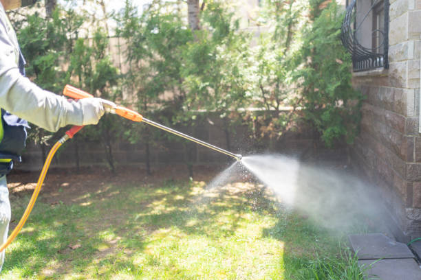 Professional Pest Control in West Carthage, NY