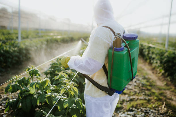 Best Ant Control Services  in West Carthage, NY